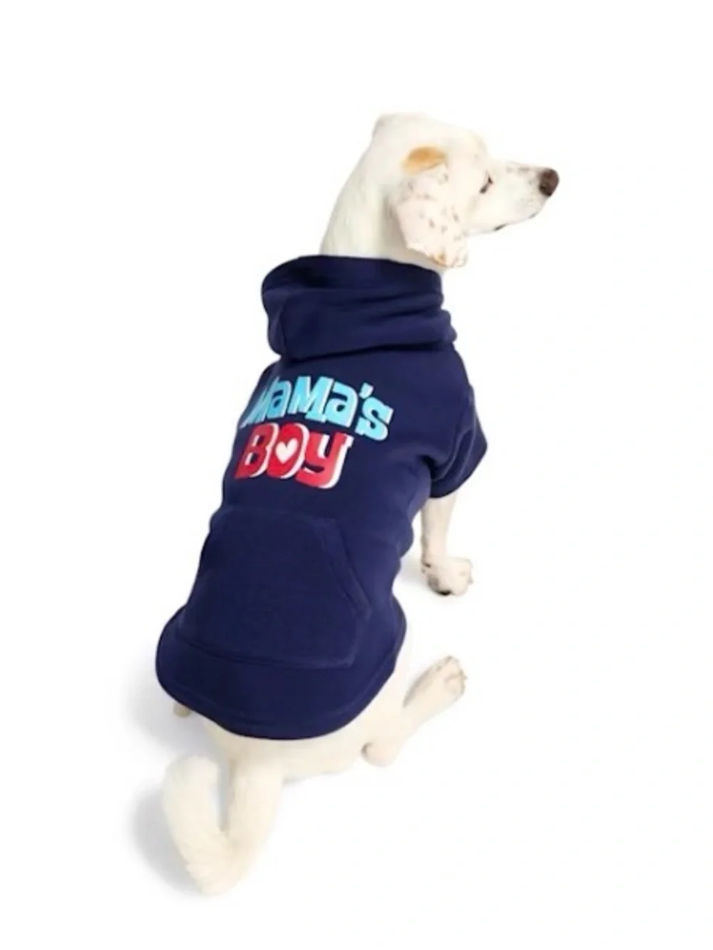 Youly Mama's Boy Navy Dog Hoodie